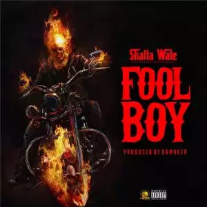 Shatta Wale - Fool Boy